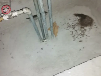 琼结卫生间测漏水价格明细